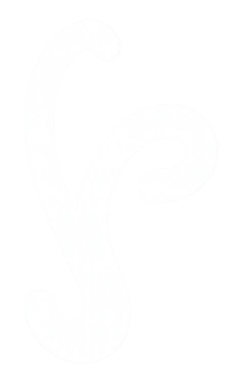 syp logo