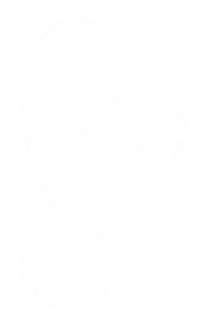 syp logo
